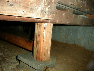 中には健全な根太まで穴を開ける業者もいる