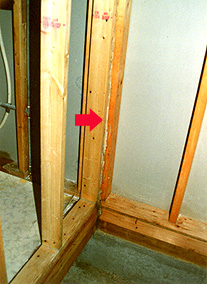 さんざん薬剤を散布した挙句、いなくなったのはシロアリ業者のほうだった