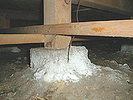 木材に染み込んで床束の表面からも結晶が出ている