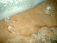 土の中にはギラギラと霜柱のような結晶がある