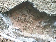 長野県松本市の現場