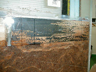 木目に沿って蟻土を吹き出している