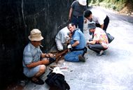 兵蟻の上唇は菱形に尖っていた