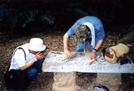 こういうことにかけては山根さんの右に出るものはいない