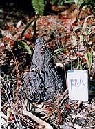 こういうのはかなりたくさんある