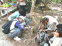 ドリアン屋のおばちゃんは日本人の行動に不思議がっていた