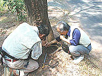 いきなり車をとめさせたので運転手はかなりあわてた