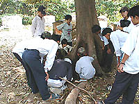 ギャラリーが多くて誰が誰だかわからない