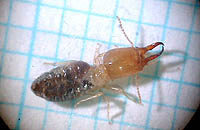 時間さえあればもっと探せるのに