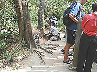 ガイドもあきれていた