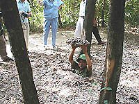 蓋をするとほとんどわからなくなる