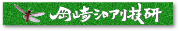 岡崎シロアリ技研 okazaki-termites-tech.lab.